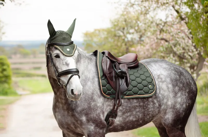 Coldstream Marygold GP Saddle Pad - Fern Green-2