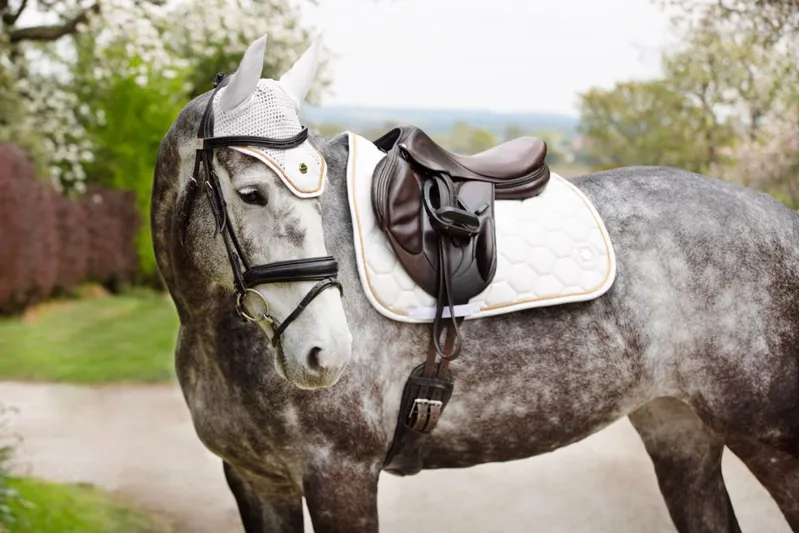 Coldstream Marygold GP Saddle Pad - White-2