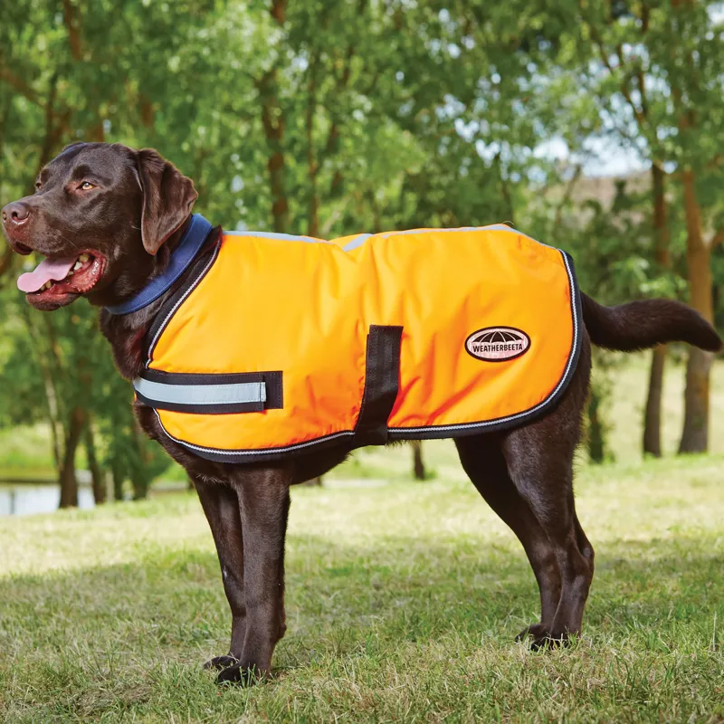 WeatherBeeta ComFiTec Reflective Parka 300D Dog Coat - Orange-2
