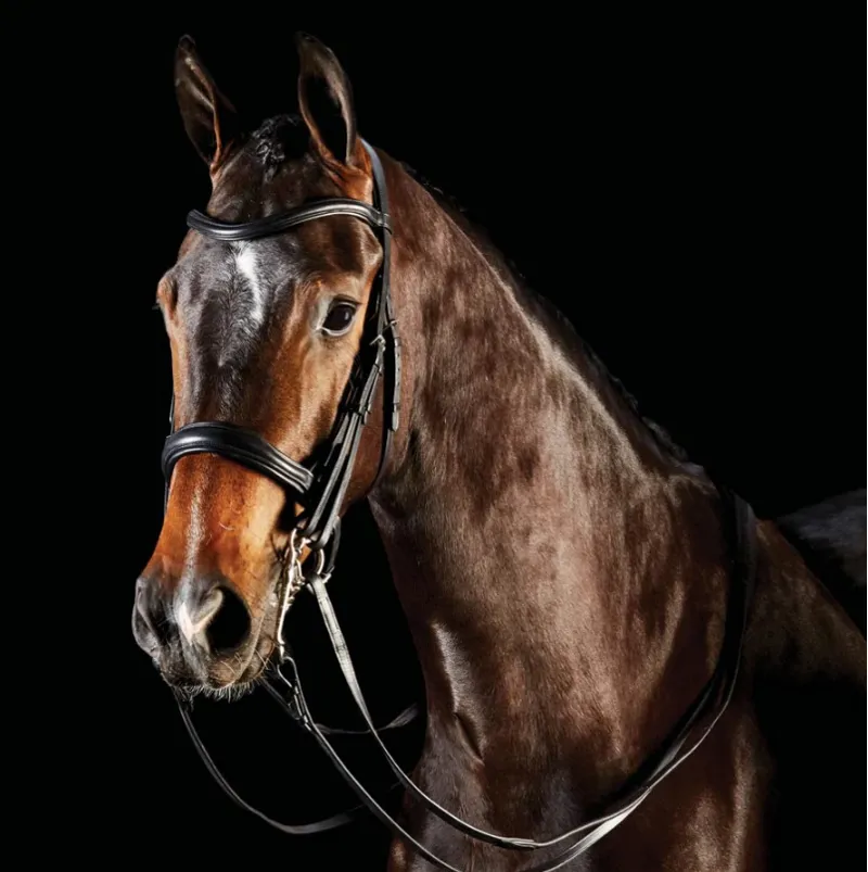 Collegiate ComFiTec Weymouth Bridle - Black