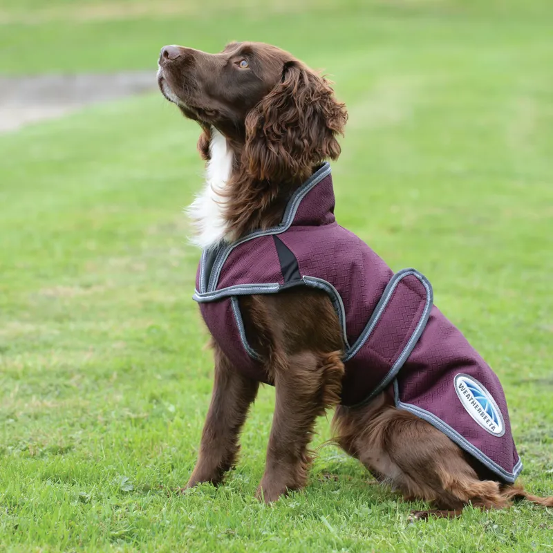 WeatherBeeta ComFiTec Premier Free Parka Deluxe Dog Coat - Maroon-2