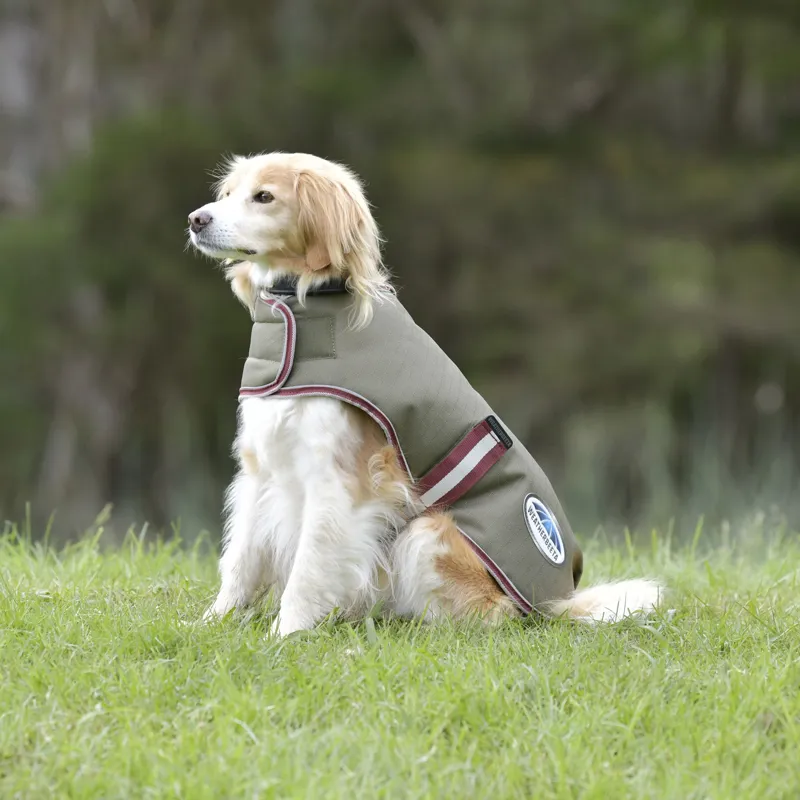 Weatherbeeta ComFiTec Premier Free Parka Dog Coat - Olive Green-1