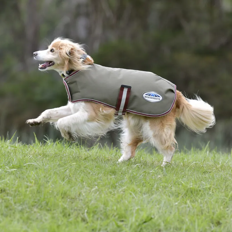 Weatherbeeta ComFiTec Premier Free Parka Dog Coat - Olive Green-2