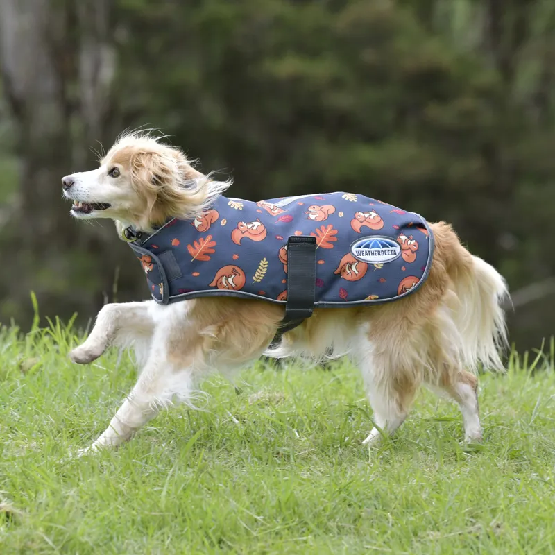 Weatherbeeta ComFiTec Premier Free Parka Dog Coat - Squirrel Print-1