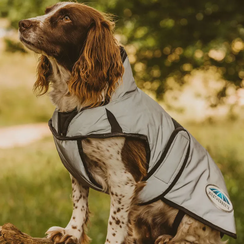 WeatherBeeta ComFiTec Reflective Dog Coat  Medium - Silver-1