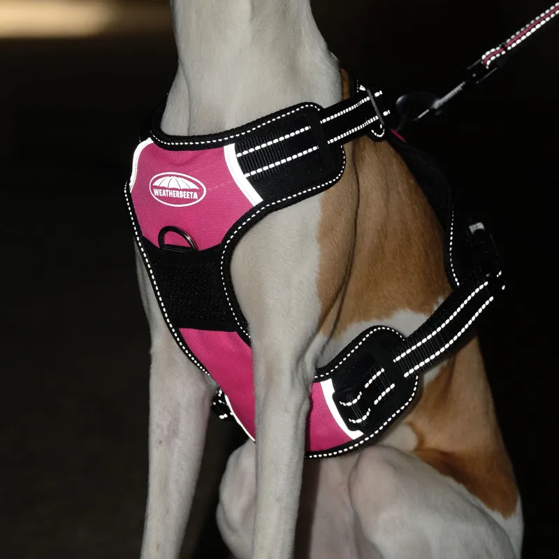 Weatherbeeta Anti Pull/Travel Harness - Black/Pink-3