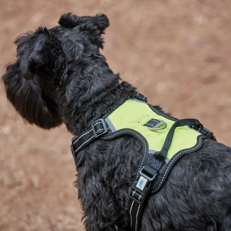 Weatherbeeta Anti Pull/Travel Harness - Black/Yellow-5