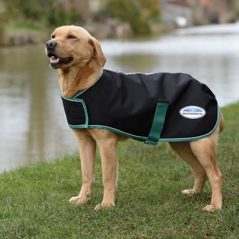 WeatherBeeta Green-Tec 900d 50g Lite Dog Coat - Black/Bottle Green