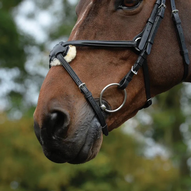 Collegiate ComFiTec Grackle Bridle - Black-1