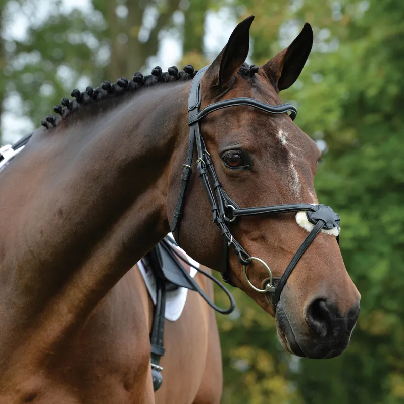 Collegiate ComFiTec Grackle Bridle - Black-3