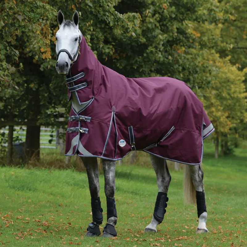 Weatherbeeta ComFiTec Plus Dynamic II 0g Combo Neck Turnout Rug - Maroon
