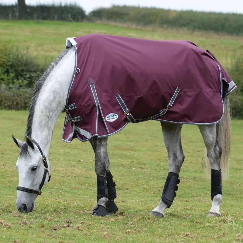 WeatherBeeta ComFiTec Plus Dynamic II 100g Standard Neck Rug - Maroon