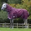 Weatherbeeta ComFiTec Plus Dynamic II 0g Detach-A-Neck Rug - Maroon