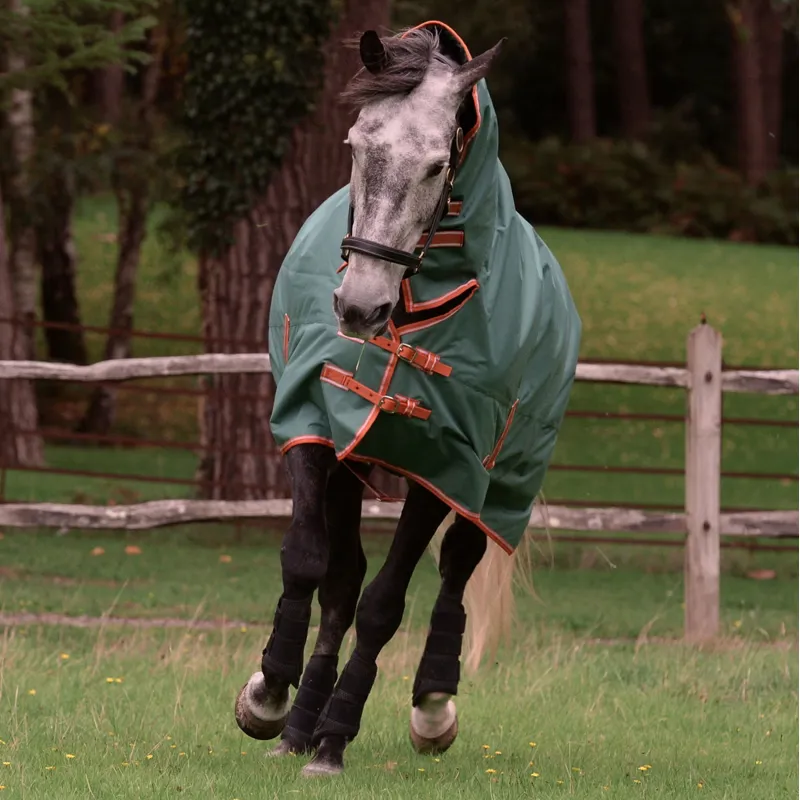 Weatherbeeta Comfitec Tyro Combo Neck 200g Turnout Rug - Green-1