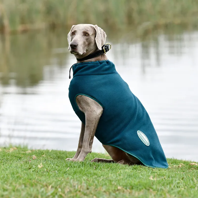 Weatherbeeta Green-Tec Fleece Zip Dog Coat - Dragonfly Blue-3