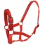 Roma Headcollar And Lead Set - Red 