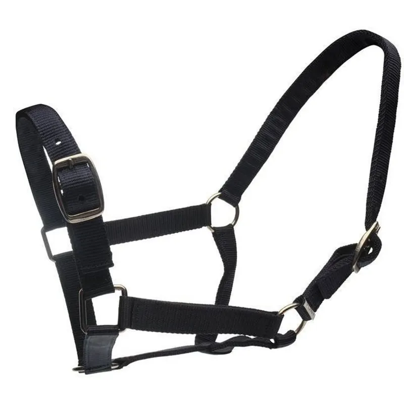 Roma Headcollar And Lead Set - Black
