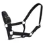 Roma Headcollar And Lead Set - Black