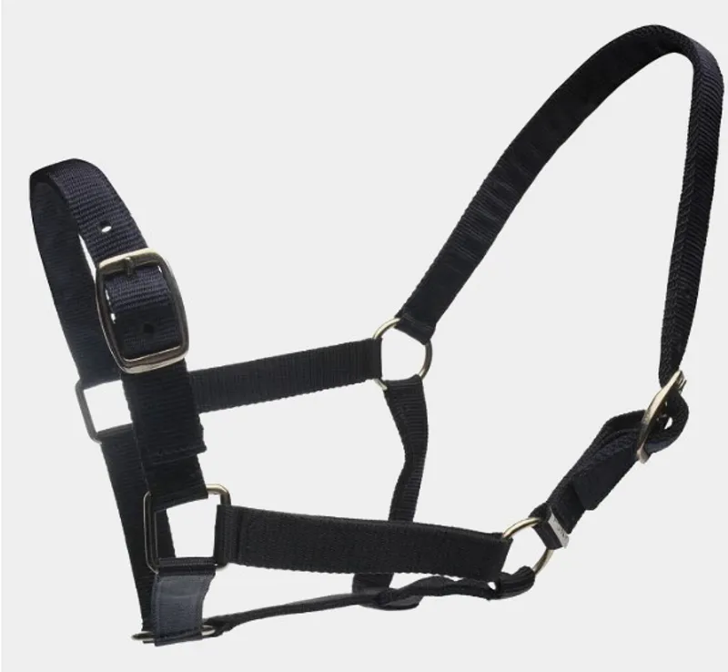 Roma Headcollar And Lead Set - Navy