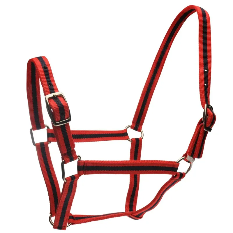 Roma Headcollar And Lead Set - Red/Navy
