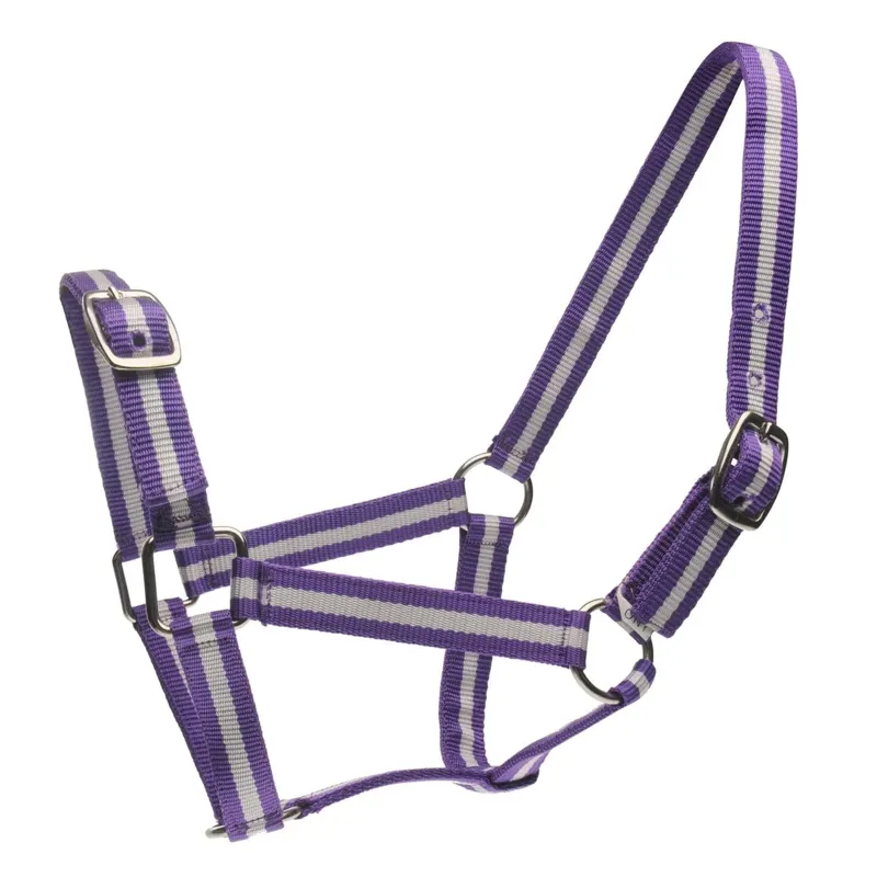 Roma Headcollar And Lead Set - Purple/Silver