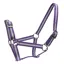 Roma Headcollar And Lead Set - Purple/Silver