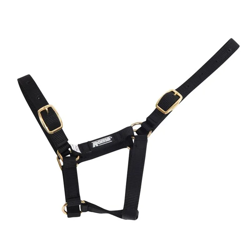 Roma Foal Headcollar - Black