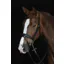 Collegiate Mono Crown Padded Raised Flash Bridle - Black