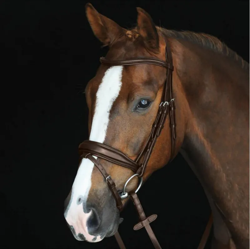 Collegiate Mono Crown Padded Raised Flash Bridle - Brown
