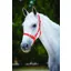 Roma Adjustable Quick Clip Headcollar - Red 