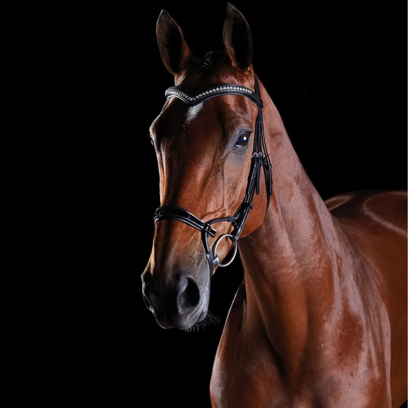 Collegiate ComFiTec Patent Bridle - Black