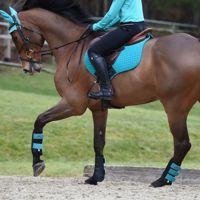 Weatherbeeta Single Lock Brushing Boots - Black/Turquoise-2