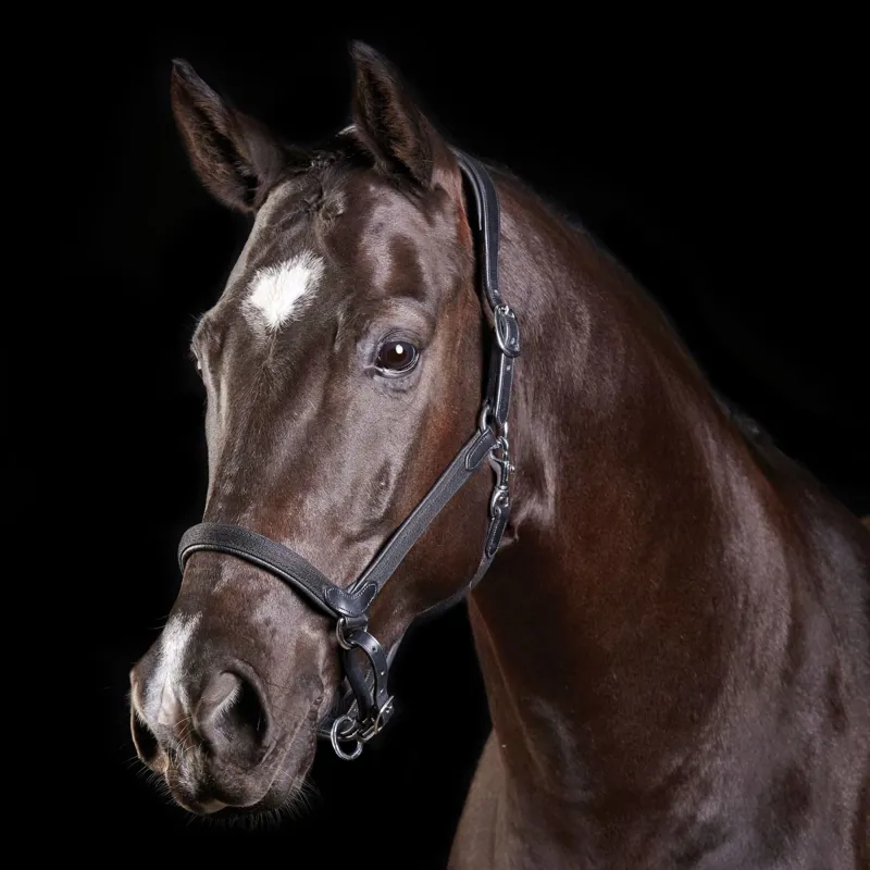 Collegiate ComFiTec Leather Headcollar - Black