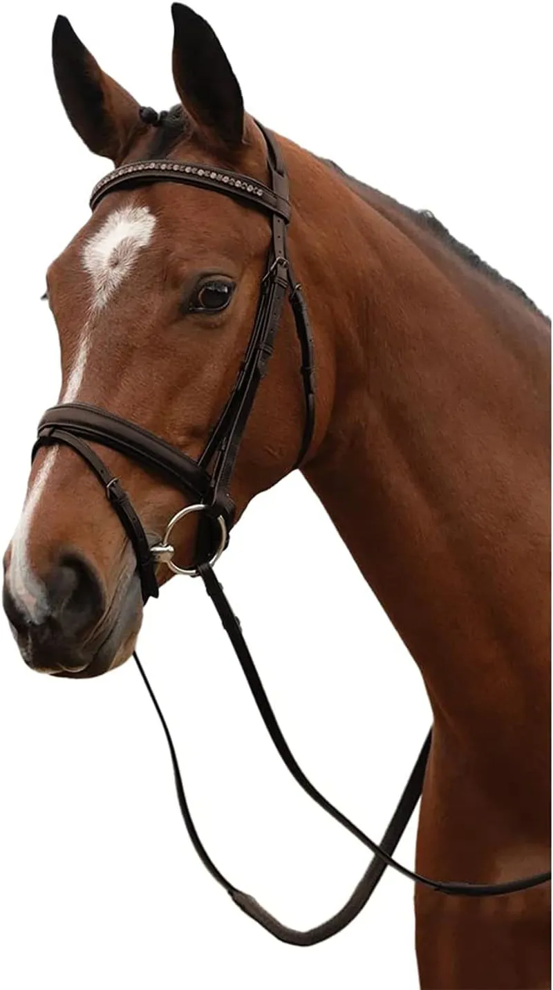 Kincade Padded Crystal Crank Flash Bridle - Brown