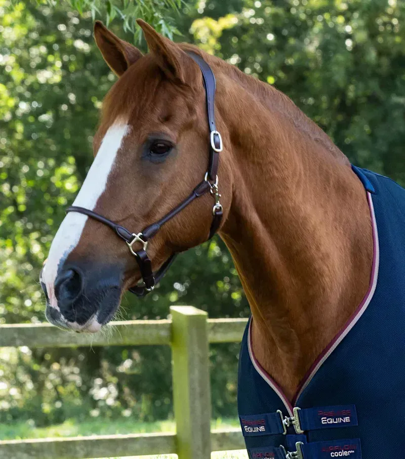 Premier Equine Airflow Cooler Rug - Navy-1