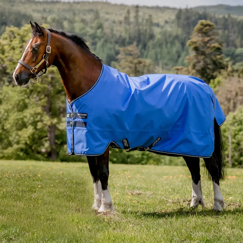 Horseware Amigo Hero 600D Ripstop 0g Turnout Rug - Blue/Navy/Grey-1