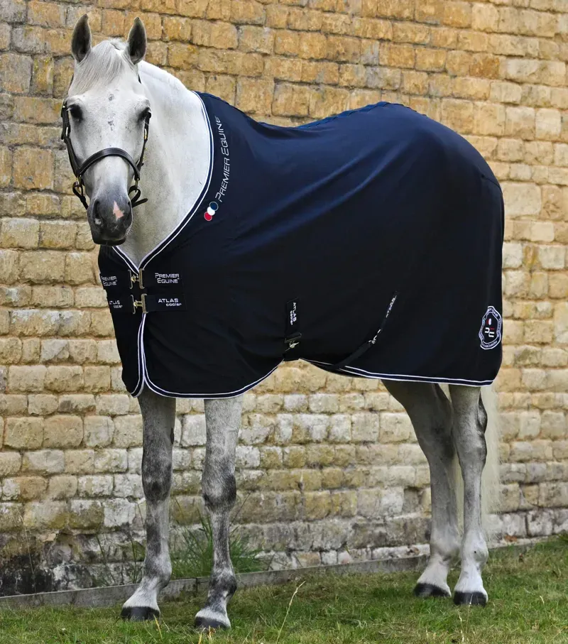 Premier Equine Atlas Horse Cooler Rug - Navy