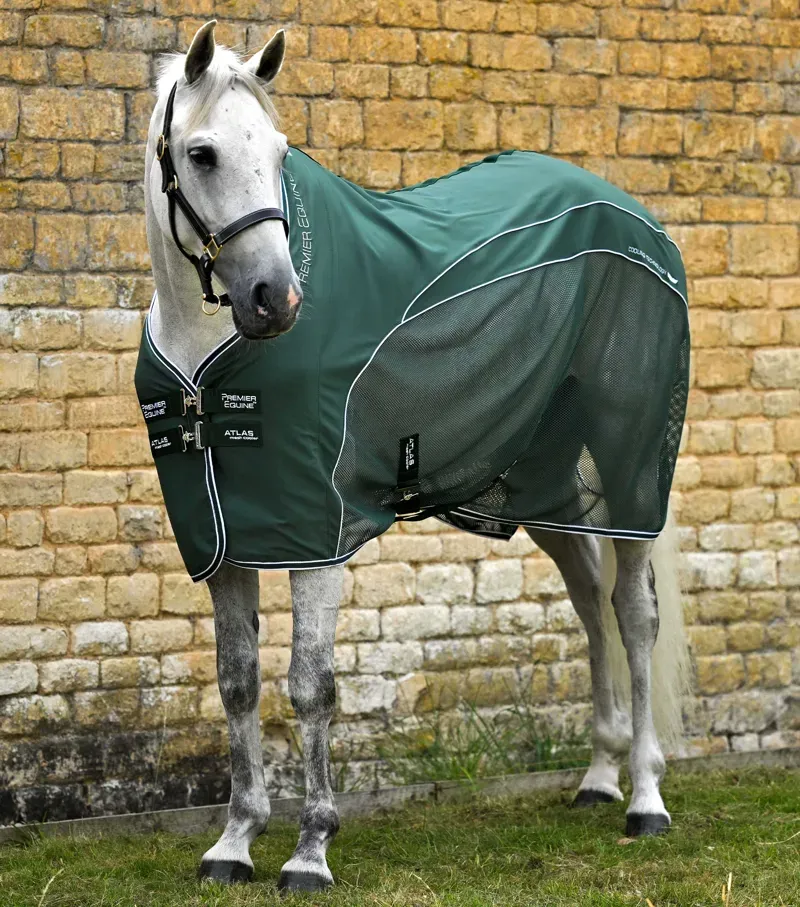 Premier Equine Atlas Mesh Horse Cooler Rug - Green