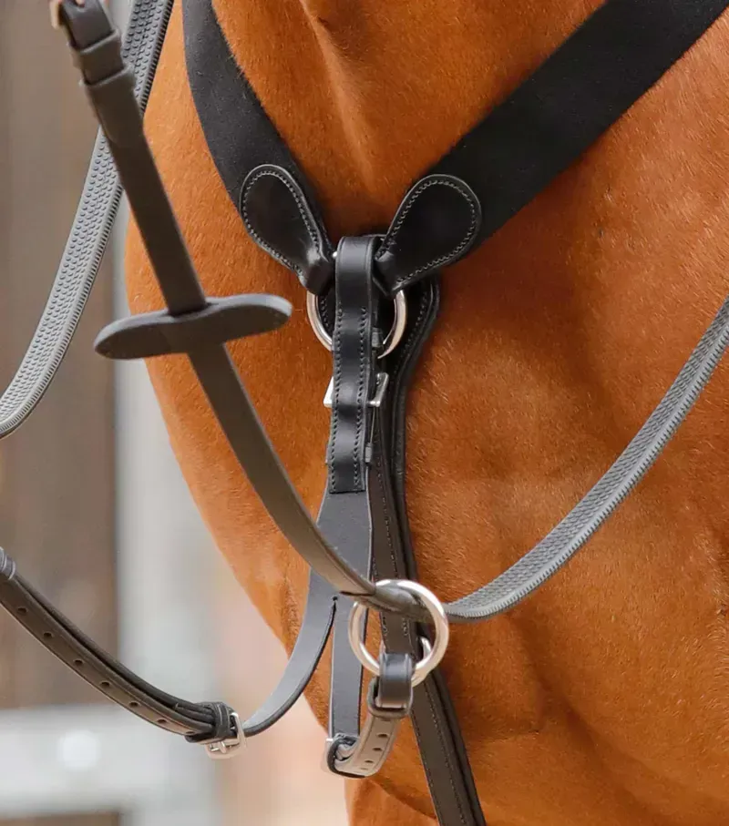 Premier Equine Baressa Elastic Jumping Breastplate - Black-1