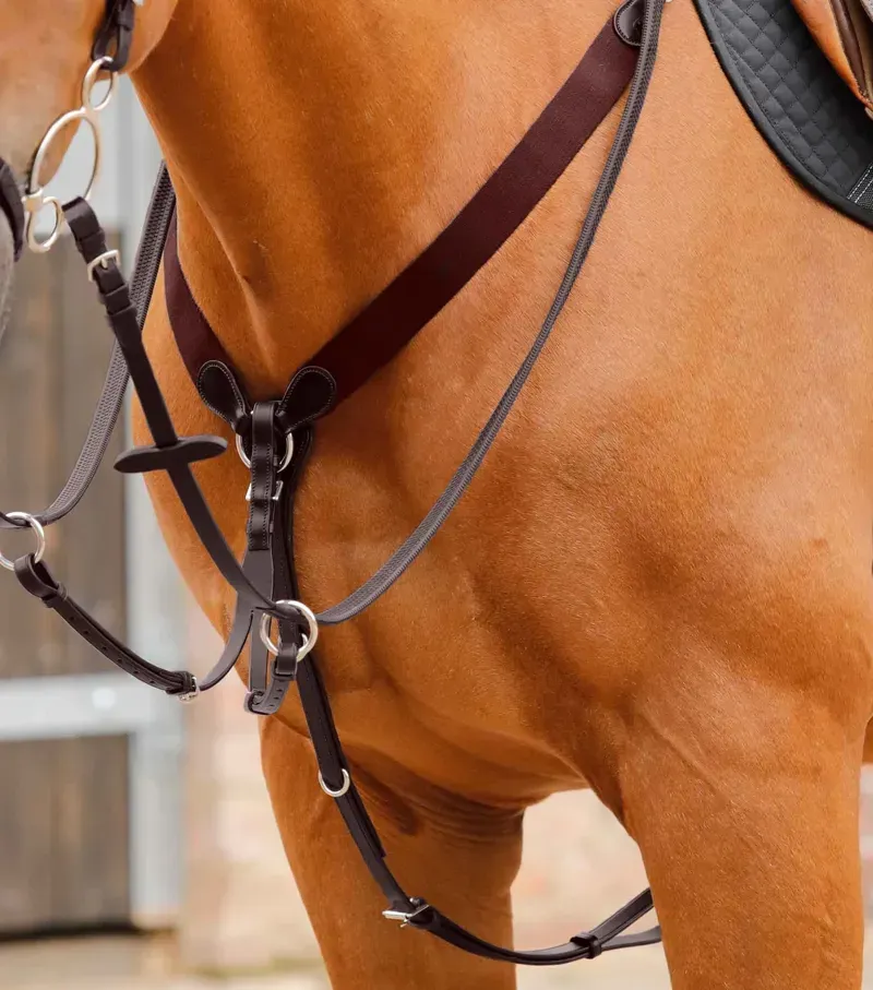 Premier Equine Baressa Elastic Jumping Breastplate - Brown