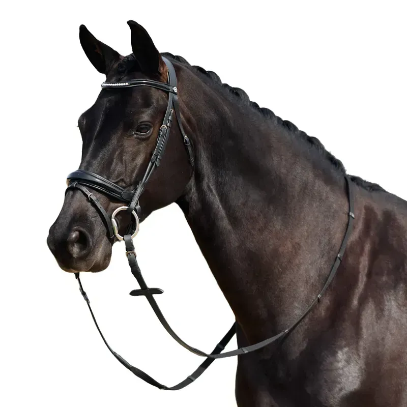 Dublin Padded Mono Crown Patent Flash Bridle - Black