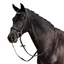 Dublin Padded Mono Crown Patent Flash Bridle - Black