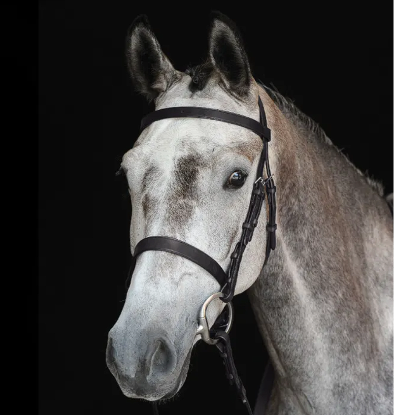 Collegiate Hunt Cavesson Bridle IV - Black