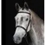 Collegiate Hunt Cavesson Bridle IV - Black