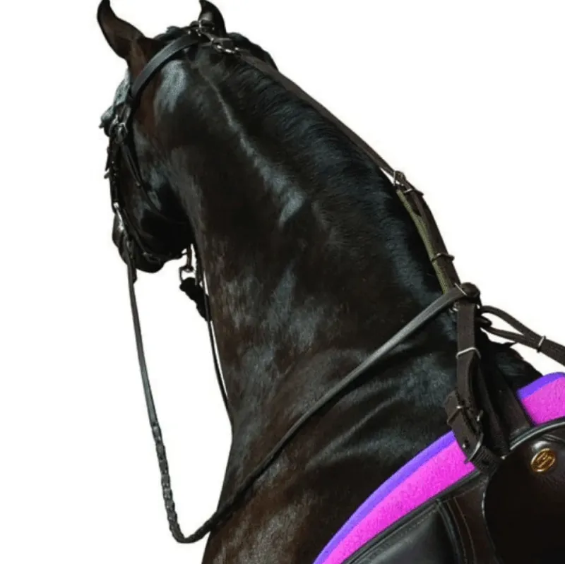 Kincade Poly Anti-Grazing Strap - Black