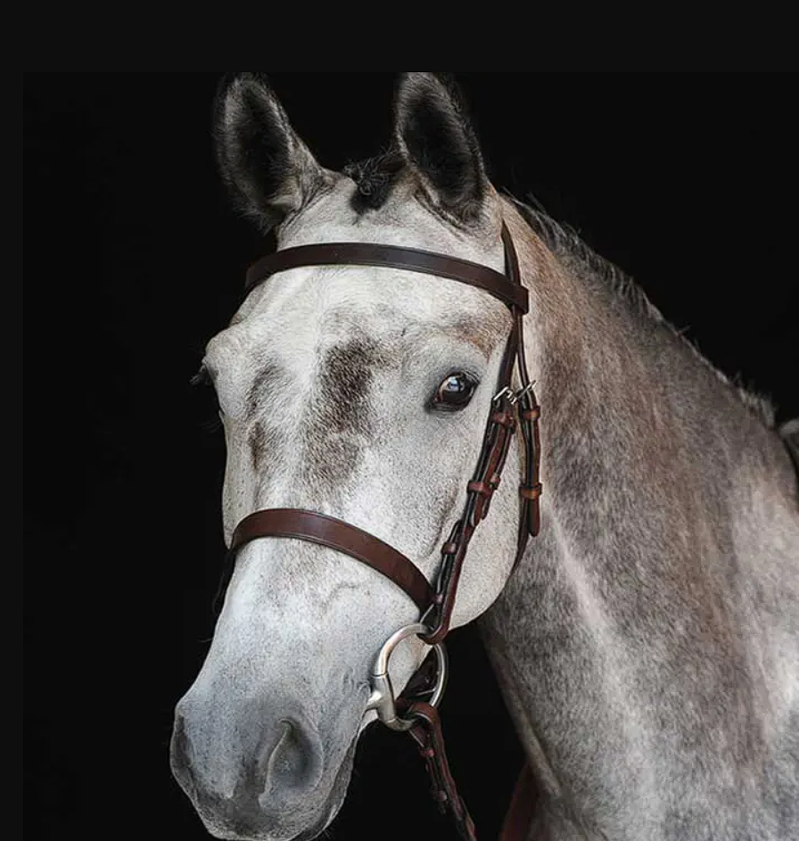 Collegiate Hunt Cavesson Bridle IV - Brown