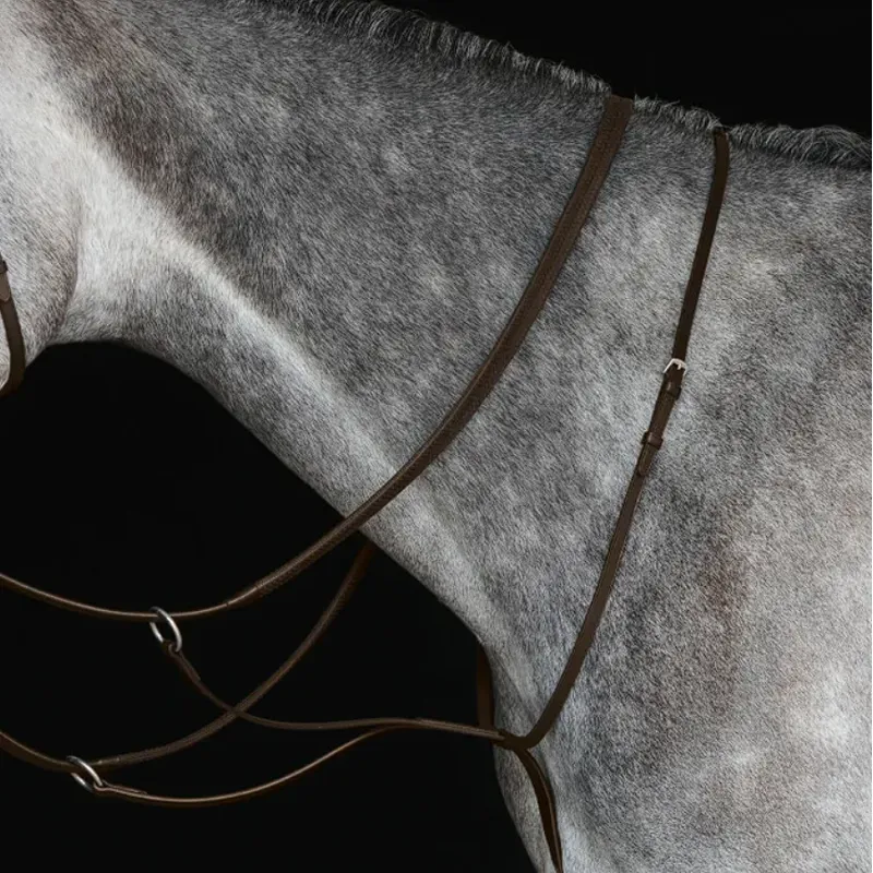 Collegiate Running Martingale IV - Brown