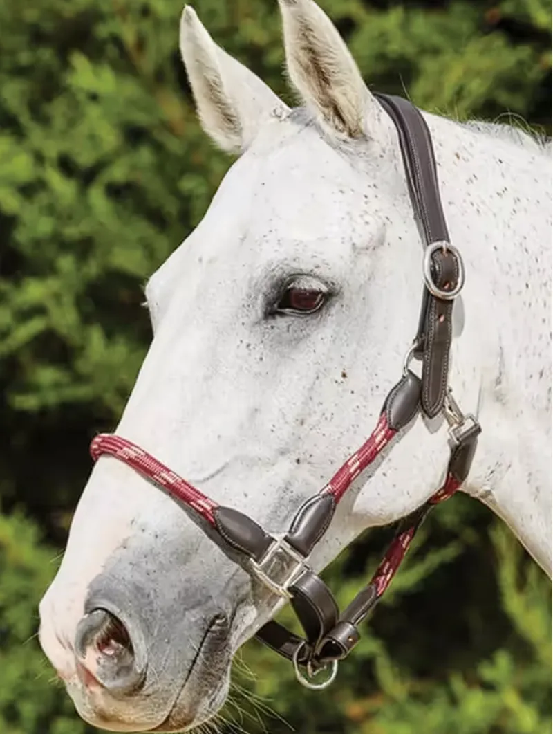 Kincade Leather Rope Halter - Burgundy/Brown