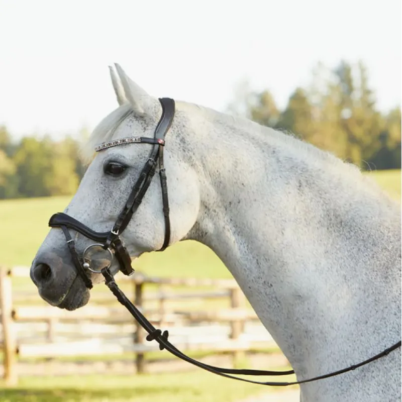Kieffer Viola Snaffle Bridle - Brown-1