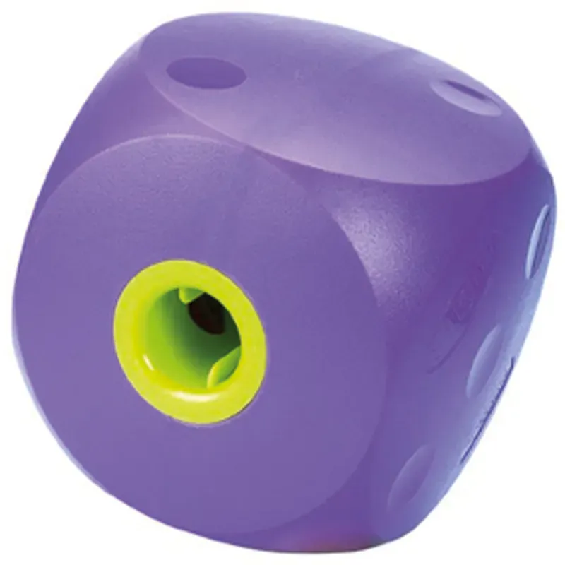 Buster Food Cube - Purple